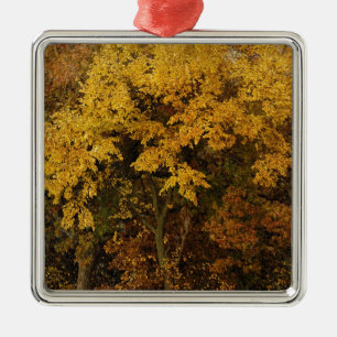 Autumn Trees Metal Ornament