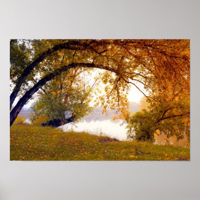 Autumn trees Misty lake Poster (Front)