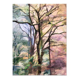 AUTUMN TREES PHOTO PRINT