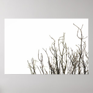 autumn trees poster