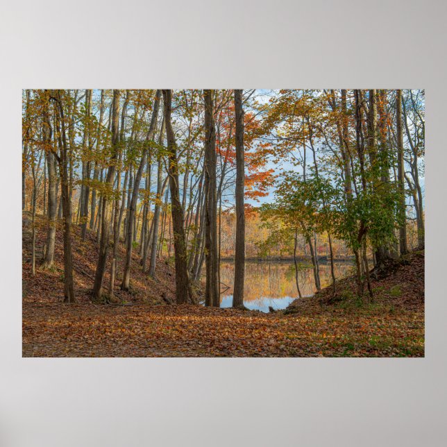 Autumn Trees Poster (Front)