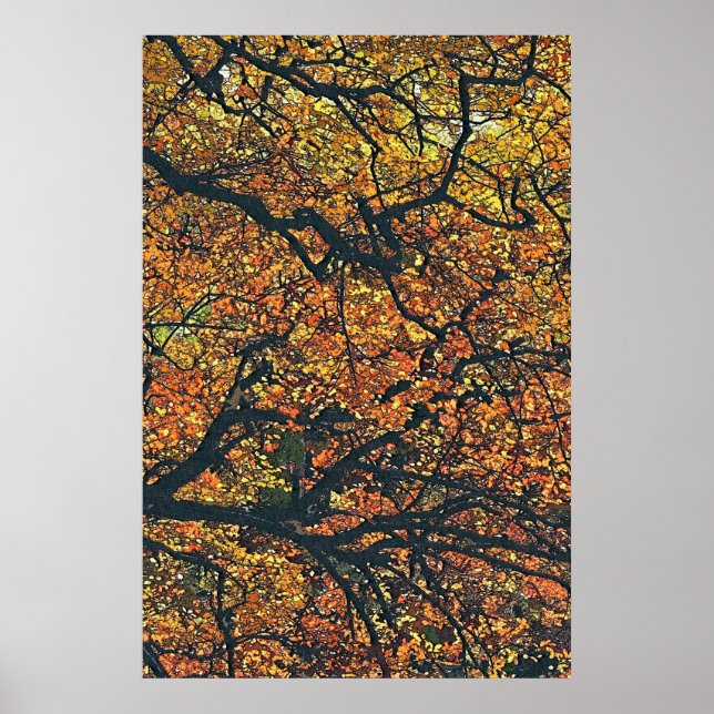 AUTUMN TREES POSTER (Front)