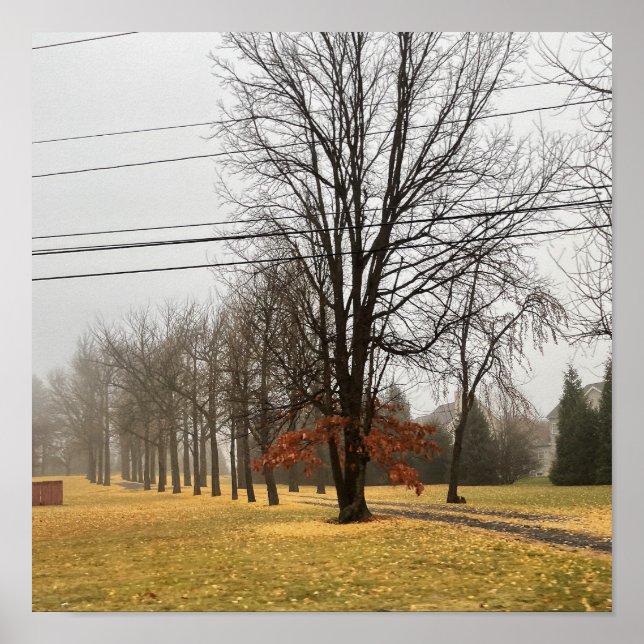 Autumn Trees Poster (Front)
