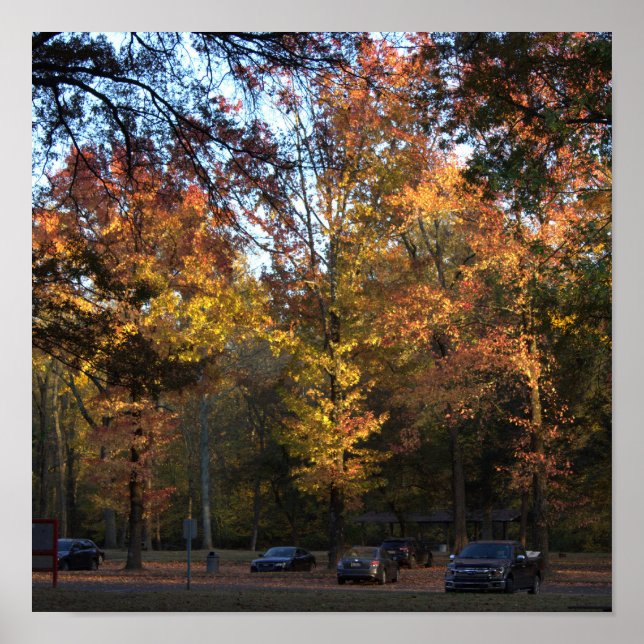 Autumn Trees Poster  (Front)