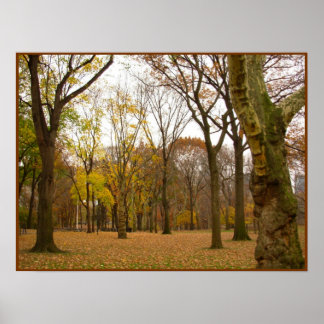 Autumn Trees Print New York Landscape Poster