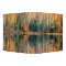 Autumn Trees Reflecting on Water