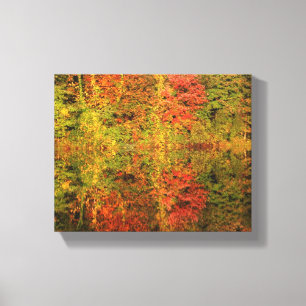 Autumn Trees Reflections Canvas Print