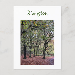 Autumn Trees Rivington Postcard
