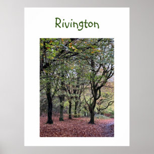 Autumn Trees Rivington Poster