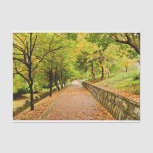 Autumn Trees Tissue Paper