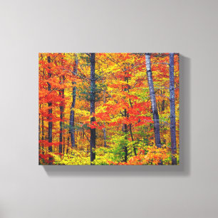 Autumn Trees Wrapped Canvas
