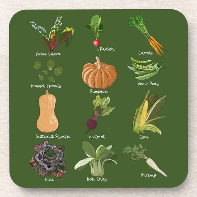 Autumn Veggies Fall Vegetable Harvest Coaster (Front)