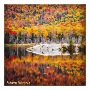 Autumn Vibrance Photo Print