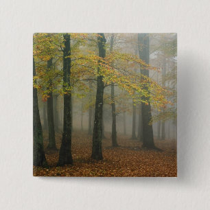 Autumn view of foggy forest, Grandfather 3 2 Inch Square Button