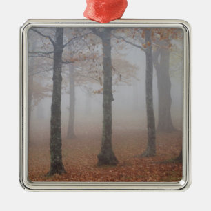 Autumn view of foggy forest, Grandfather Metal Ornament