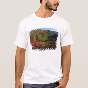 Autumn view of Linville Gorge often called the T-Shirt