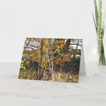 Autumn Vine Tangle & Berries "Ahh" Card
