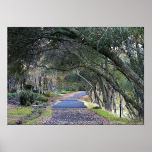 "Autumn Walk" Poster