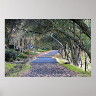 "Autumn Walk" Poster