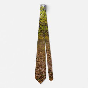 Autumn Walkway Tie