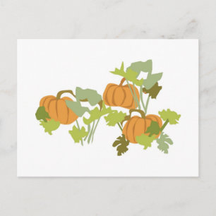Autumn Weddings Save The Date Postcards