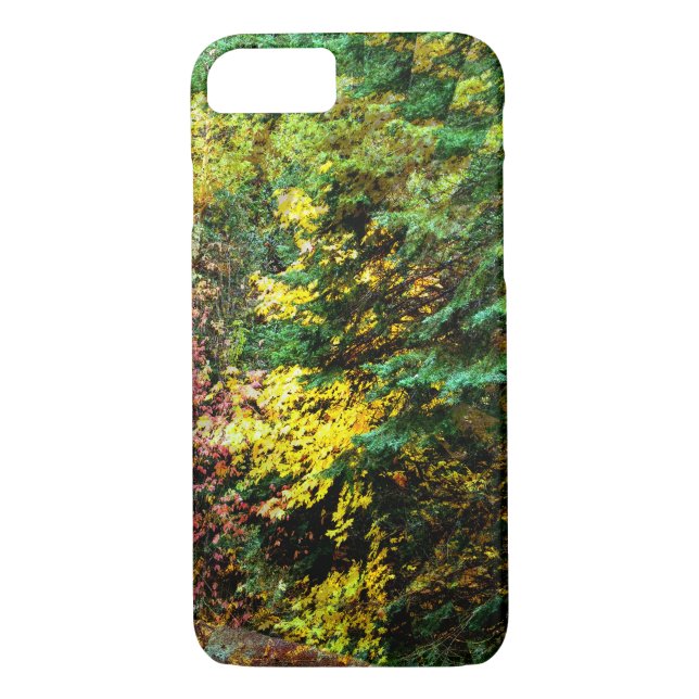 Autumn Whirlwind....... Case-Mate iPhone Case (Back)