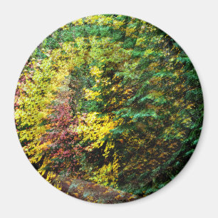 Autumn Whirlwind....... Magnet