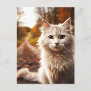 AUTUMN white cat POSTCARDS