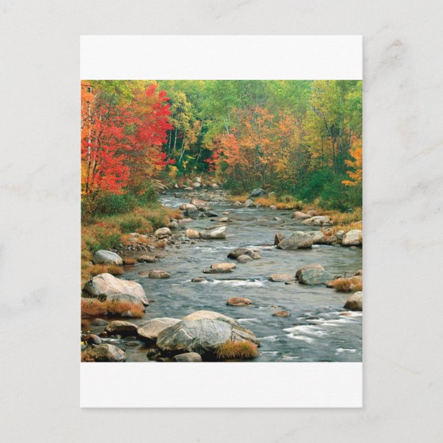 Autumn White Mountains New Hampshire Postcard (Front)