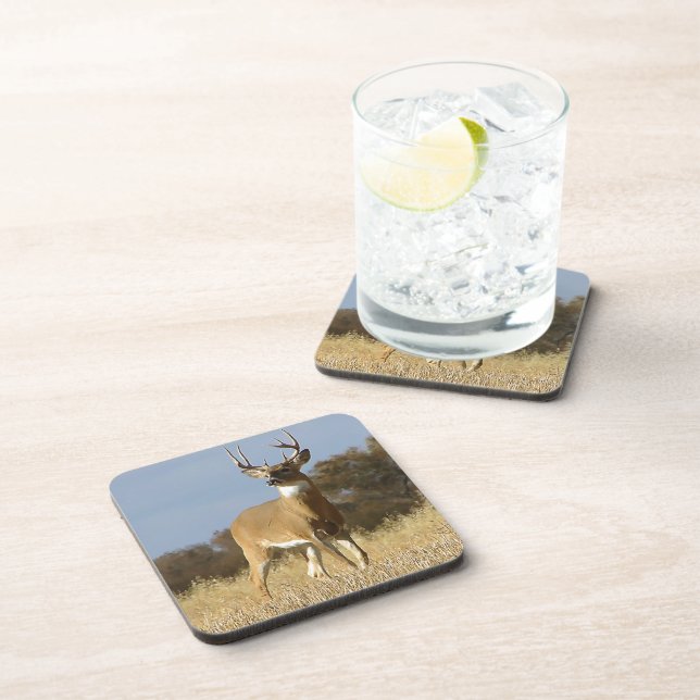 Autumn Whitetail Buck Coaster (Right Side)
