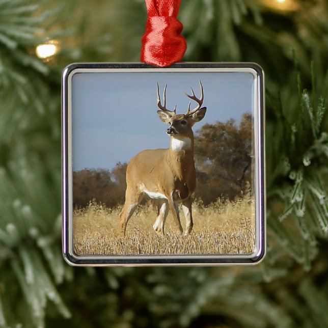 Autumn Whitetail Buck Metal Ornament (Tree)