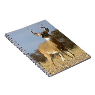 Autumn Whitetail Buck Notebook