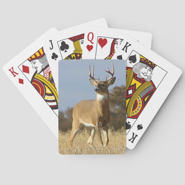 Autumn Whitetail Buck Playing Cards (Back)