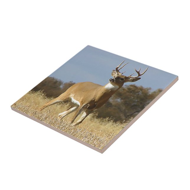 Autumn Whitetail Buck Tile (Side)