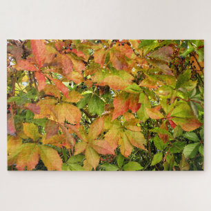 Autumn wild grapevine leaves jigsaw puzzle