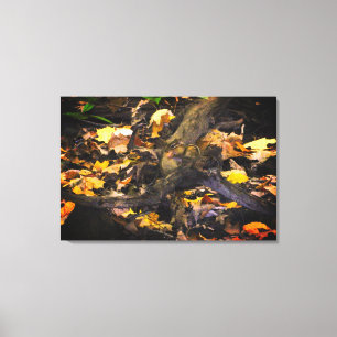 Autumn Wildlife Portrait Canvas Print
