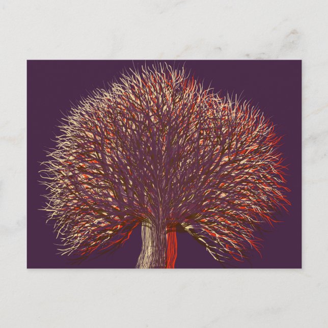 Autumn Winter Tree Postcard (Front)