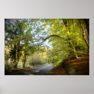 Autumn Woodland (4316) Poster