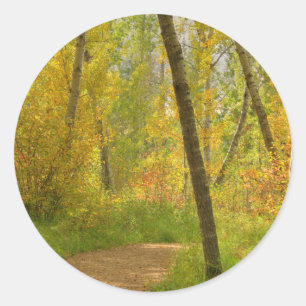 Autumn Woodlands Classic Round Sticker
