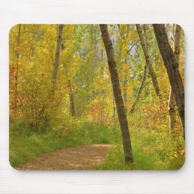 Autumn Woodlands Mouse Pad (Front)