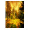 Autumn Woods Fire Storm.