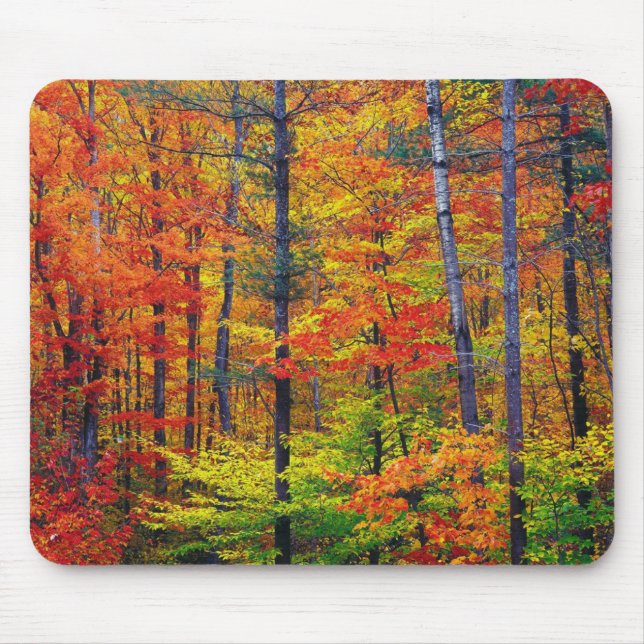 Autumn Woods Mouse Pad (Front)