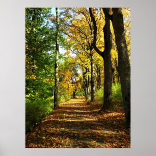 autumn woods poster