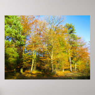 Autumn Woods & Sunshine - Personalised Poster