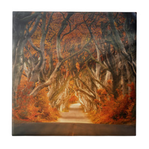 Autumn Woods Thicket Path Tile