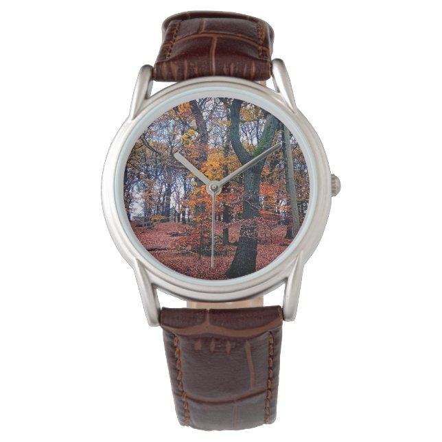 Autumn woods watch (Front)