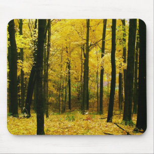Autumn Yellow Forest Mouse Pad