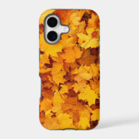 Autumn Yellow Maple Leaves