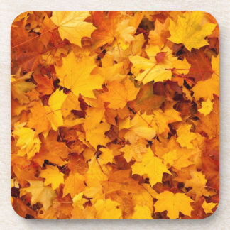 Autumn Yellow Maple Leaves Coaster
