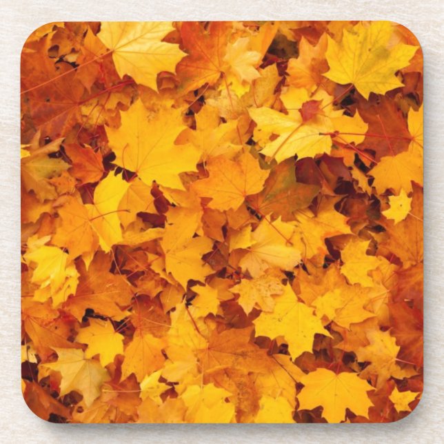 Autumn Yellow Maple Leaves Coaster (Front)